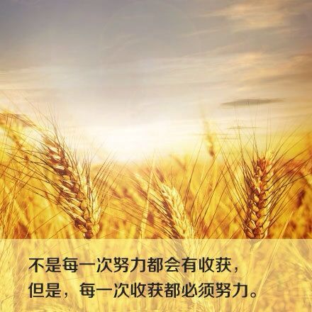 journal_insert_pic_895569463