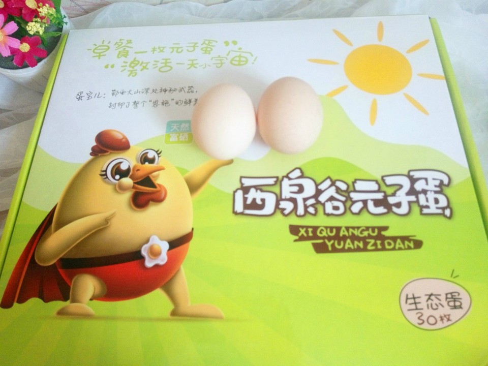 journal_insert_pic_917662532