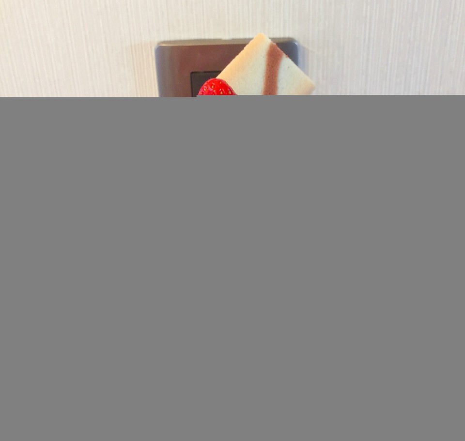 journal_insert_pic_987235487