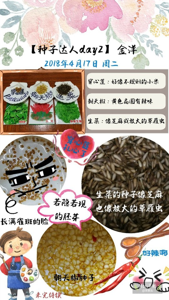 journal_insert_pic_994750331