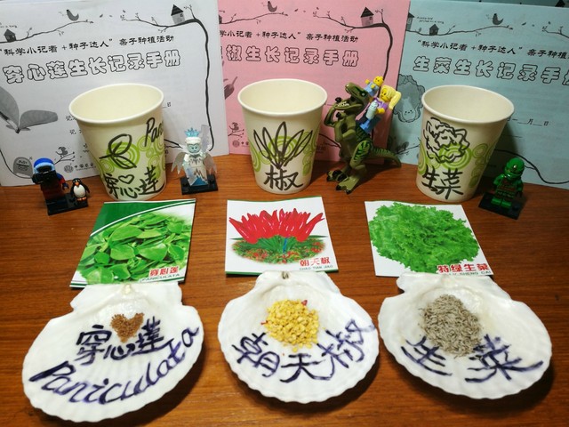 journal_insert_pic_994750258