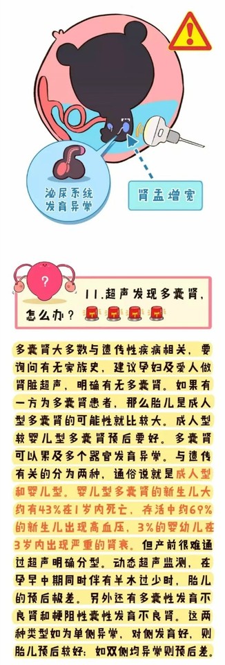 journal_insert_pic_1083698124