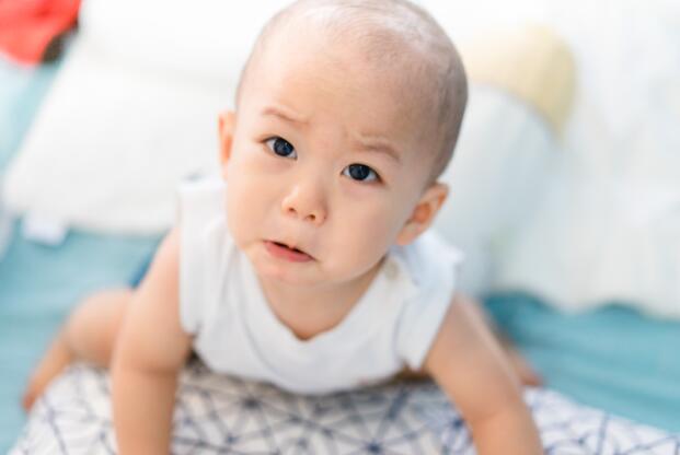 journal_insert_pic_1336642222