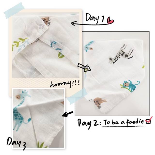 journal_insert_pic_1461112709